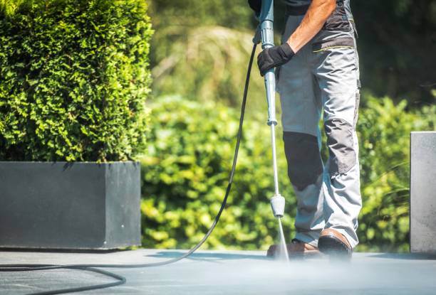 Best Paint Preparation  in Lake Bluff, IL