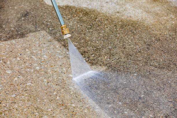 Best Driveway Pressure Washing  in Lake Bluff, IL
